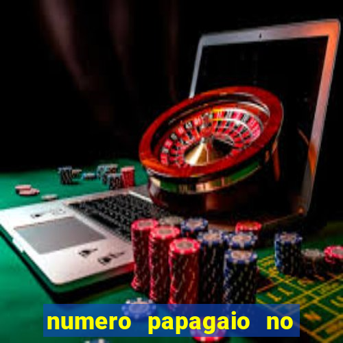 numero papagaio no jogo do bicho